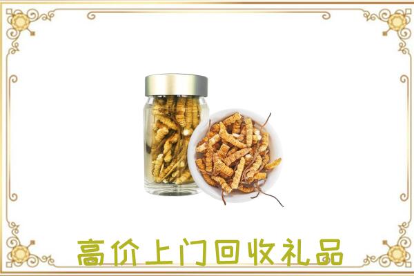 柳州周边回收虫草